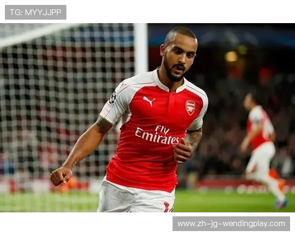 退役英超球员名单及他们的职业生涯回顾