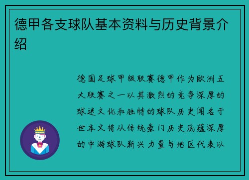 德甲各支球队基本资料与历史背景介绍